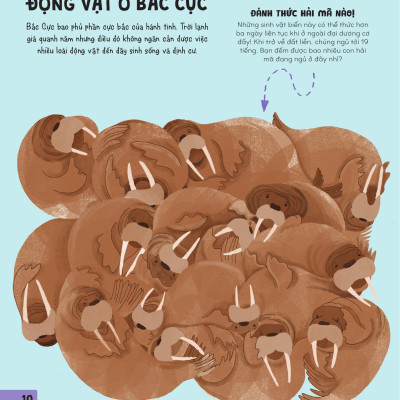 Sách - 70++ Trò Chơi Giúp Em Khám Phá Thế Giới - Thiên Nhiên