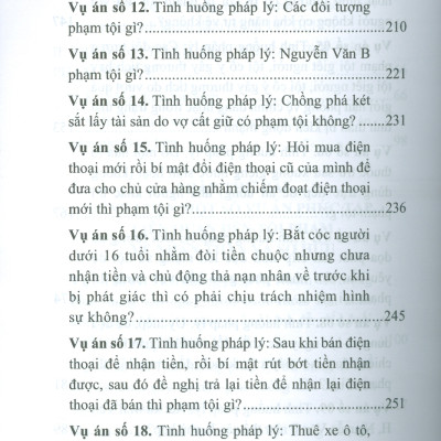 Định Tội Danh Các Tội Phạm Nhân Thân Sở Hữu Trong Luật Hình Sự - Một Số Vấn Đề Lý Luận Và Thực Tiễn (Sách chuyên khảo) 