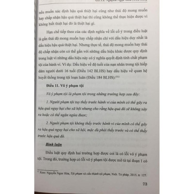 Bình luận khoa học Bộ luật hình sự 2015, được sửa đổi bổ sung 2017 (phần chung)