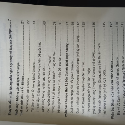 Nagara Champa - Những Phác Thảo Về Lịch Sử Và Nền Văn Minh - Đổng Thành Danh - (bìa mềm)