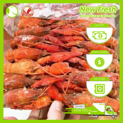 [GIAO NHANH HCM] Tôm Hùm Đất Crawfish Size Lớn - Túi 2.5Kg