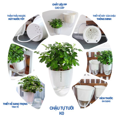 Chậu tự tưới treo tường đáy trong suốt Monrovia, chất liệu nhựa PP,  phù hợp mọi không gian nhà
