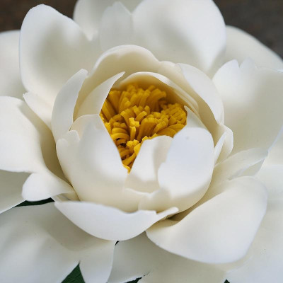 Hoa gốm cắm nhang -  Đốt trầm hoa trà trắng dễ thương