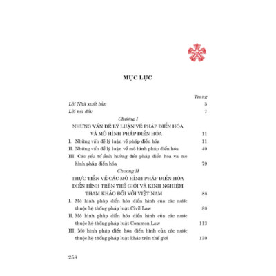 Lý luận, thực tiễn về các mô hình pháp điển hóa điển hình trên thế giới và những kiến nghị đối với Việt Nam (Sách chuyên khảo) (Xuất bản lần thứ hai có sửa chữa, bổ sung)