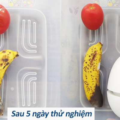 THIẾT BỊ TẠO OZONE DIỆT KHUẨN, KHỬ MÙI TỦ LẠNH GUARDIAN ANGEL - HÀNG NHẬP KHẨU