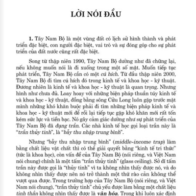 Văn Hóa Người Việt Vùng Tây Nam Bộ (2022)