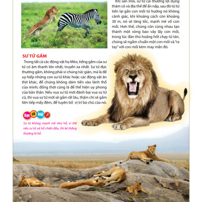 Atlas Động Vật - Vương Quốc Động Vật - Bìa Cứng (Tái Bản 2023)