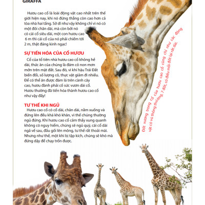 Atlas Động Vật - Vương Quốc Động Vật - Bìa Cứng (Tái Bản 2023)