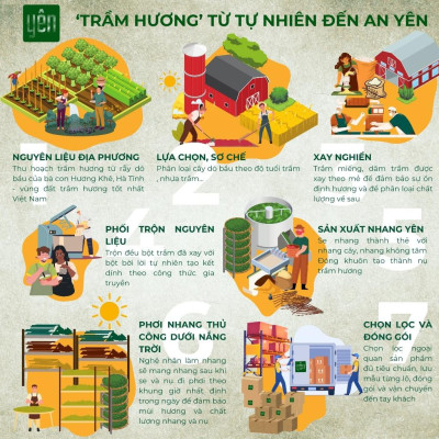 Nhang Trầm Hương Không Tăm Yên Loại Thân, Tâm, Tuệ Sạch Tự Nhiên Ít Khói An Toàn Dùng Thiền Thư Giãn