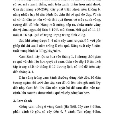 Kỹ Thuật Trồng, Chăm Sóc Cho Năng Suất Cao: Cam, Quýt, Bưởi, Táo, Na, Hồng
