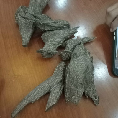 Trầm hương miếng hàng đẹp chuẩn rừng Tiên Phước Quảng Nam ( một gói 100g) - Trầm sạch tốt cho sức khỏe