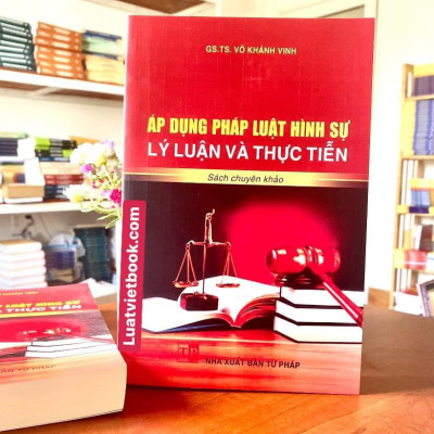 Áp Dụng Pháp Luật Hình Sự Lý Luận Và Thực Tiễn 
