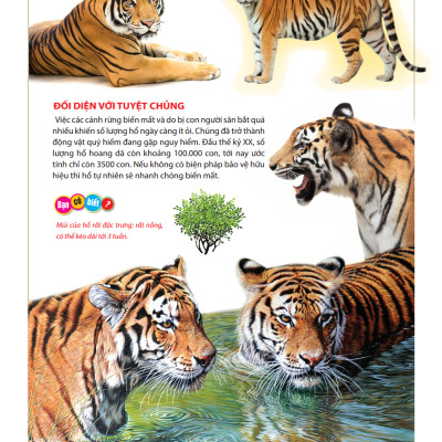 Atlas Động Vật - Vương Quốc Động Vật - Bìa Cứng (Tái Bản 2023)