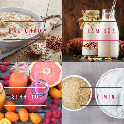 Máy xay công suất lớn nấu cháo làm Sữa hạt đa năng Mishio MK270 800W - hàng chính hãng