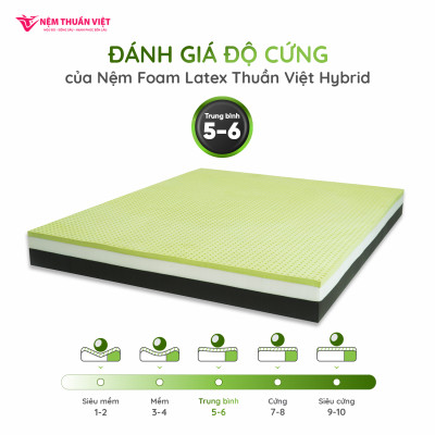 Nệm Foam Latex Thuần Việt Hybrid 20cm - Kết Cấu Đa Tầng, Nâng Đỡ Êm Ái, Bảo Vệ Cột Sống Khỏe, Công Nghệ Trà Xanh Kháng Khuẩn, Khử Mùi