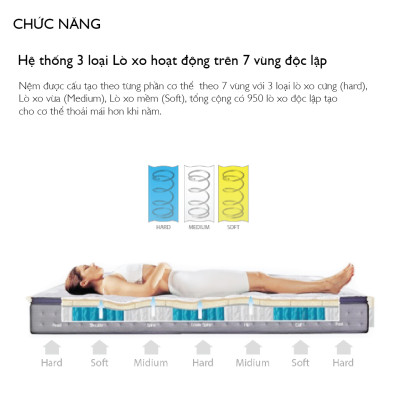 Nệm Swing 1.6m Jang In 1301600001-02