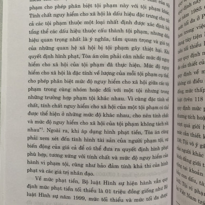 Hình Phạt Tiền Trong Pháp Luật Hình Sự Việt Nam Và Thực Tiễn Áp Dụng (Sách Chuyên Khảo)