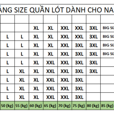 Combo 05 Quần Lót Nam Vải Thun Lạnh Cao Cấp KhoNCC Viền Lưng Bản To Nhiều Màu - NQL-QLNHR-5c - Hàng Chính Hãng