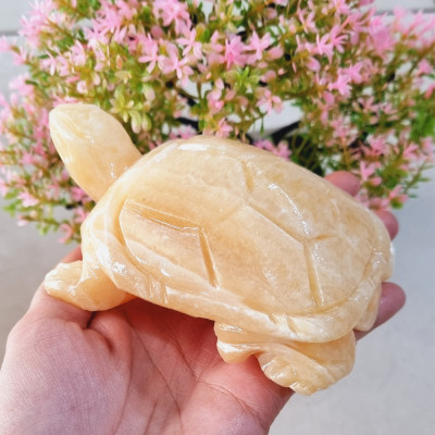 Cụ Rùa phong thủy 12cm đá tự nhiên tạc tay