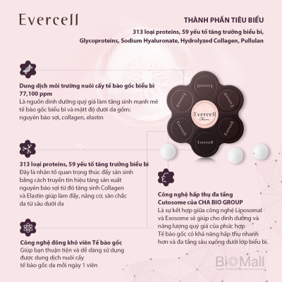 Viên Tế bào gốc đông khô tinh khiết Chống lão hóa EVERCELL Chaum Absolute Luxe Cell Charger 14 viên 