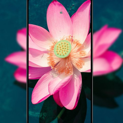 MIỀNG DÁN CƯỜNG LỰC MIPOWKING BULL IPHONE 11 PRO  MAX/XS MAX- CHÍNH HÃNG  BJ112 MÀU ĐEN