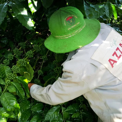 AZZAN BLEND ARABICA & ROBUSTA 250g- Cà phê đặc sản, hạt rang Pha phin/ Espresso hương vị đậm đà lôi cuốn