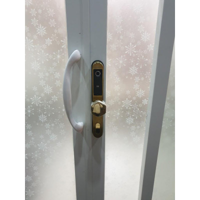 Khóa vân tay cửa nhôm Kadol KD-900