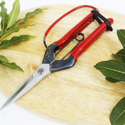 Kéo tỉa cành cao cấp Nhật Bản Chikamasa T-710GDX