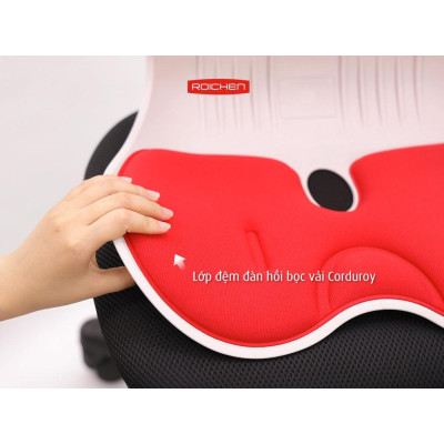 Ghế chỉnh dáng ngồi đúng - Roichen Hàn Quốc (Made in Korea). Combo cho gia đình.