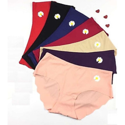 COMBO 10 QUẦN SU GÂN TĂM HOA CÚC 3239 - MÀU GIAO NGẪU NHIÊN