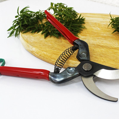 Kéo cắt cành cao cấp Nhật Bản Chikamasa PST-8 chiều dài lưỡi 45mm - lưỡi thép carbon chất lượng cao siêu bén - cắt ngọt, không bám dính, liền sẹo nhanh