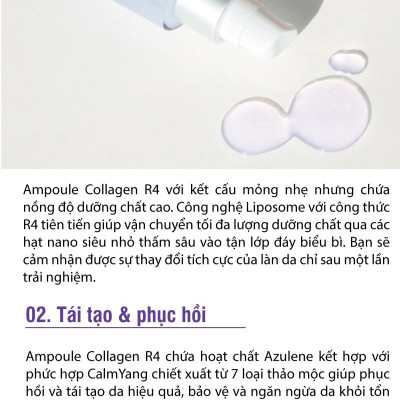 Tinh chất dưỡng da phục hồi và trẻ hóa Ampoule Labo DERMAFIRM - Bio Correction Ampoule Collagen R4 (50ml)