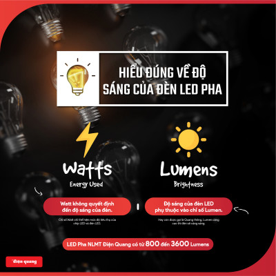 Bộ đèn LED Pha NLMT Điện Quang ĐQ LEDSLN 765 (Solar, IP65, daylight, công suất từ 60W - 300W)