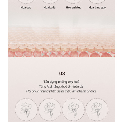 Sey 10 hộp mặt nạ làm dịu và tạo độ bóng cho da Leblanc Pink Marine Complex Calming Mask Hộp 5 miếng