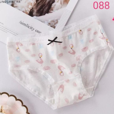 Combo 5 Quần Lót Nữ Cotton Dễ Thương 088 – Mềm Mại, Thấm Hút, Co Giãn