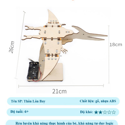 Bộ Đồ Chơi Khoa Học Và Công Nghệ Tự Làm DIY Wood Steam, Đồ Chơi Lắp Ghép STEM, Đồ Chơi Gỗ Cao Cấp Mô Hình Thằn Lằn Bay Pteranodon