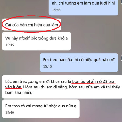 Bẫy Bọ Phấn Trắng gây hại dưa lưới đạt hiệu quả 90% và bẫy côn trùng khác bằng Cuộn Keo Dính Màu Vàng Israel (Combo 20 mét). Sticky Yellow Roll dùng trong ngành nông nghiệp sạch, hạn chế thuốc Bảo Vệ Thực Vật