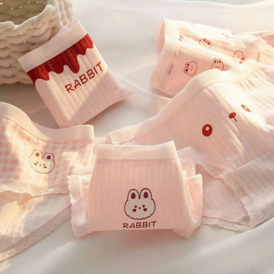 SET 5 QUẦN LÓT RABBIT DỄ THƯƠNG TỪ 40-60KG DÀNH CHO NỮ