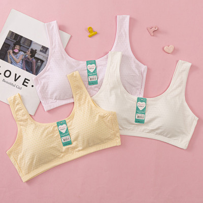 Áo Lót Nữ Học Sinh Ba Lỗ Cotton Thông Hơi Mút Liền 1376 – Êm Ái, Thoáng Mát