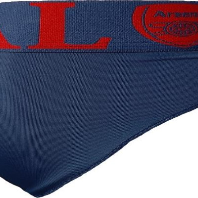 Quần lót nam tam giác lưng thun cotton 4 chiều co giãn cao cấp ShopN6 - QLT1 (màu tối + chữ ngẫu nhiên)