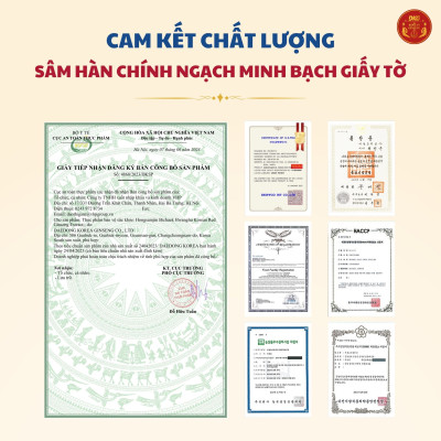 Hồng sâm hoàng hậu (120ml x 20 túi) – Daedong