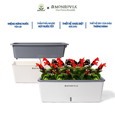 Chậu trồng cây tự tưới hình chữ nhật MONROVIA SC06, chất liệu PP cao cấp, phù hợp trồng hoa, rau