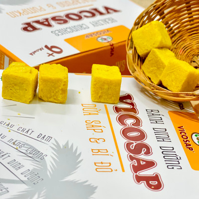 Combo 3 Bánh dinh dưỡng VICOSAP làm từ dừa sáp không chiên qua dầu ăn vặt healthy cho bé