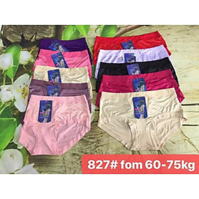 Combo 10 quần lót cao cấp cotton lụa big size 827 ( Từ 65-75kg)