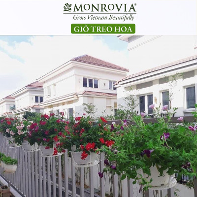  Combo 3 Giỏ treo chậu hoa ban công MONROVIA, giỏ sắt treo chậu hoa ban công, chậu treo ban công, kệ treo ban công, móc treo, khung thép, sơn tĩnh điện chính hãng thương hiệu MONROVIA  - Màu Trắng