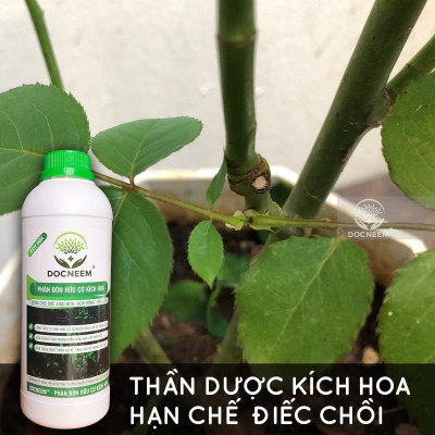 Phân bón hữu cơ Kích Hoa cho Hoa hồng, Hoa lan, cây cảnh, cây kiểng trong nhà và ngoài trời, giàu lân giúp phân nhánh nụ, hoa, giảm chồi điếc, dung tích 1 lít, chính hãng DOCNEEM