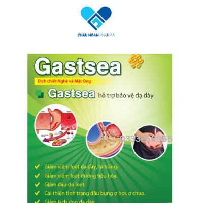 Gel nghệ mật ong hỗ trợ viêm loét dạ dày Gastsea Hộp 20 gói