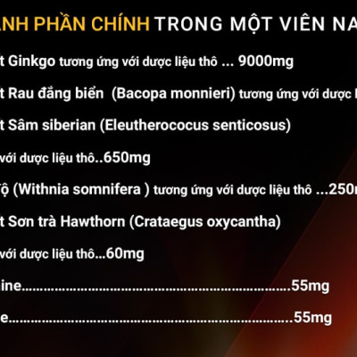 Viên uống bổ não nhập khẩu chính hãng New Zealand GO GINKGO 9000+ (30 viên) hỗ trợ tăng cường tuần hoàn não, cải thiện trí nhớ, tăng khả năng tập trung