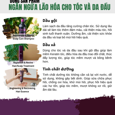 Dầu Xả Dưỡng Tóc Đen Mượt & Phục Hồi Tóc/Da Đầu Dr