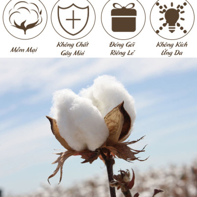 Gói 20 viên khăn nén du lịch đa năng tiện lợi